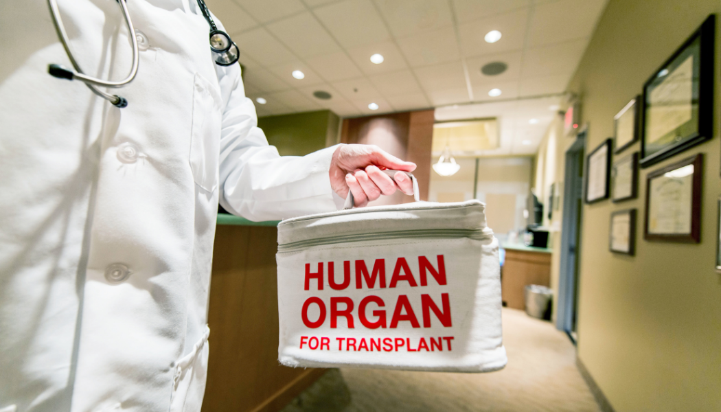Transplantation-Surgery-turkey-fibemed-healthcare